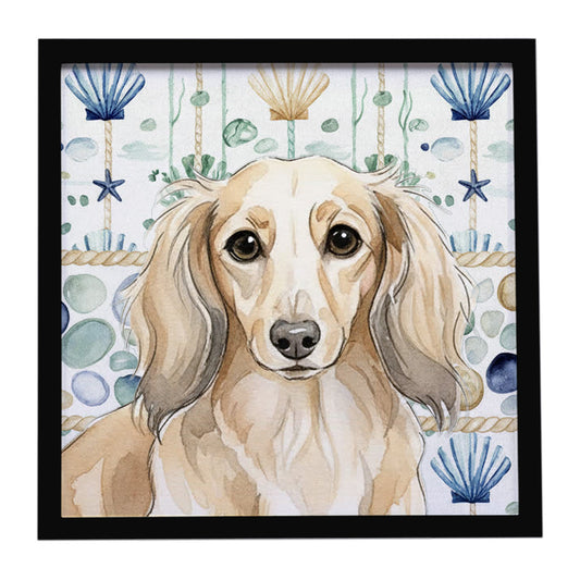 Buy this Longhaired Cream Dachshund Coastal Sea Glass Framed Metal Print