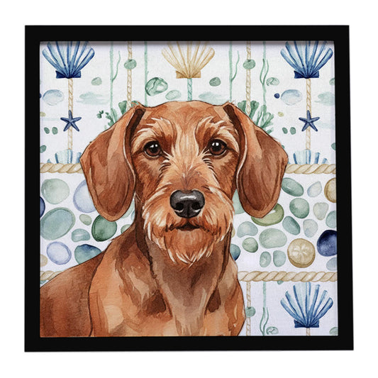 Buy this Wirehaired Red Dachshund Coastal Sea Glass Framed Metal Print
