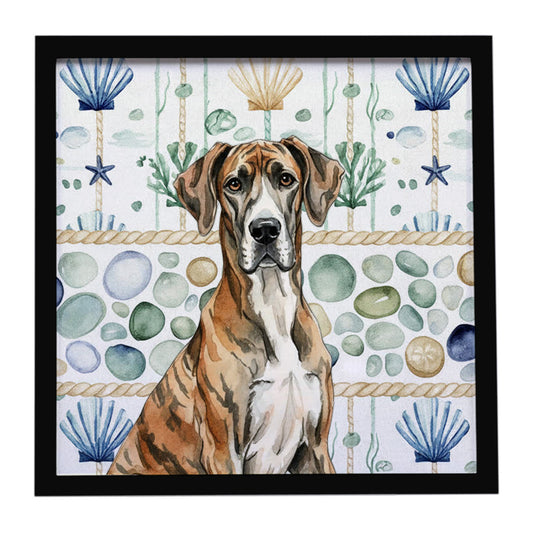 Buy this Brindle Great Dane Coastal Sea Glass Framed Metal Print