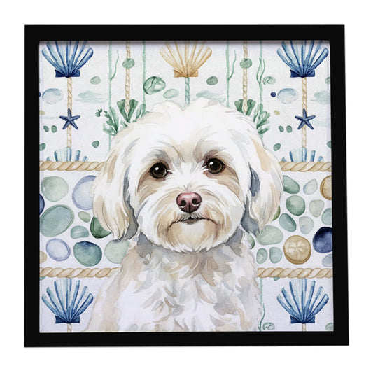 Buy this White Havanese Coastal Sea Glass Framed Metal Print