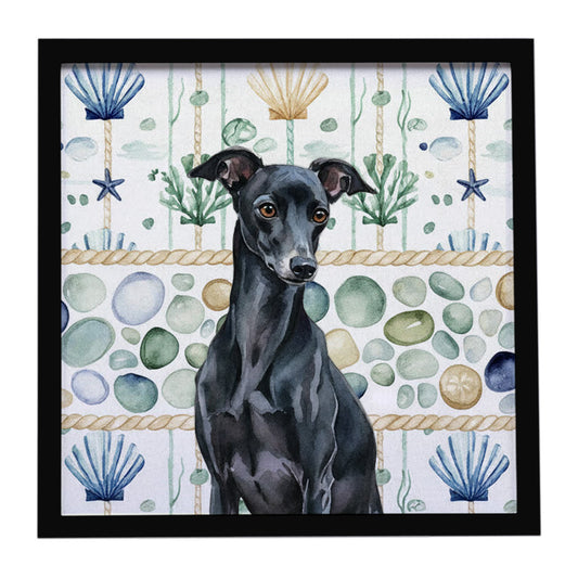 Buy this Black Italian Greyhound Coastal Sea Glass Framed Metal Print