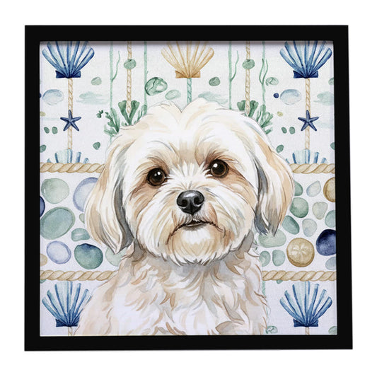 Buy this White Lhasa Apso Coastal Sea Glass Framed Metal Print