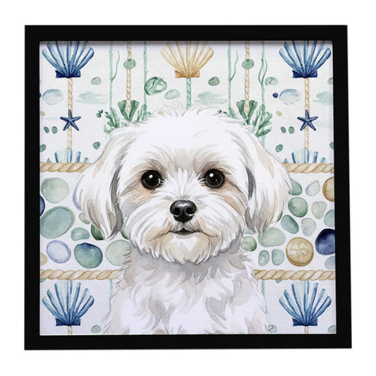 Buy this Maltese Coastal Sea Glass Framed Metal Print