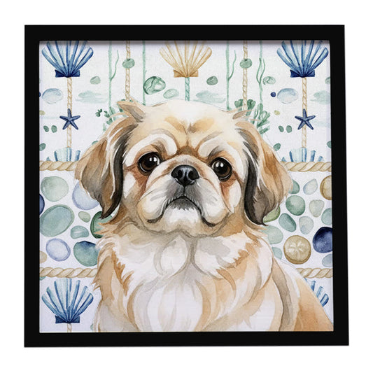 Buy this Fawn Pekingese Coastal Sea Glass Framed Metal Print