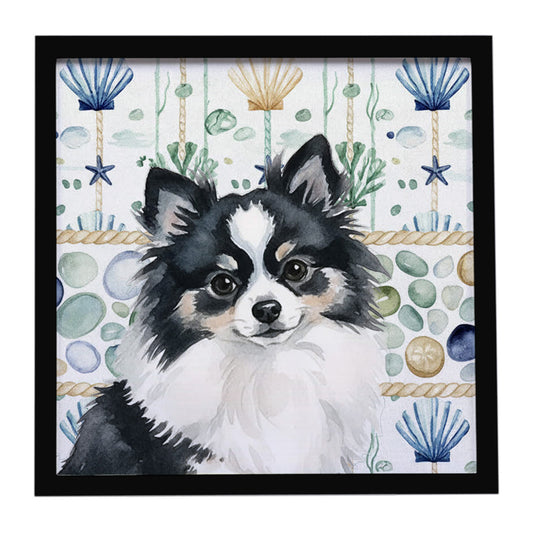 Buy this Black and White Pomeranian Coastal Sea Glass Framed Metal Print