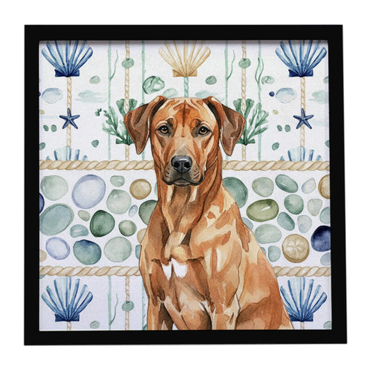 Buy this Rhodesian Ridgeback Coastal Sea Glass Framed Metal Print