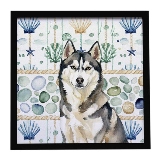 Buy this Agouti Siberian Husky Coastal Sea Glass Framed Metal Print