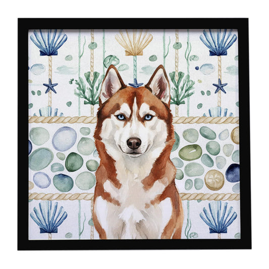 Buy this Red and White Siberian Husky Coastal Sea Glass Framed Metal Print