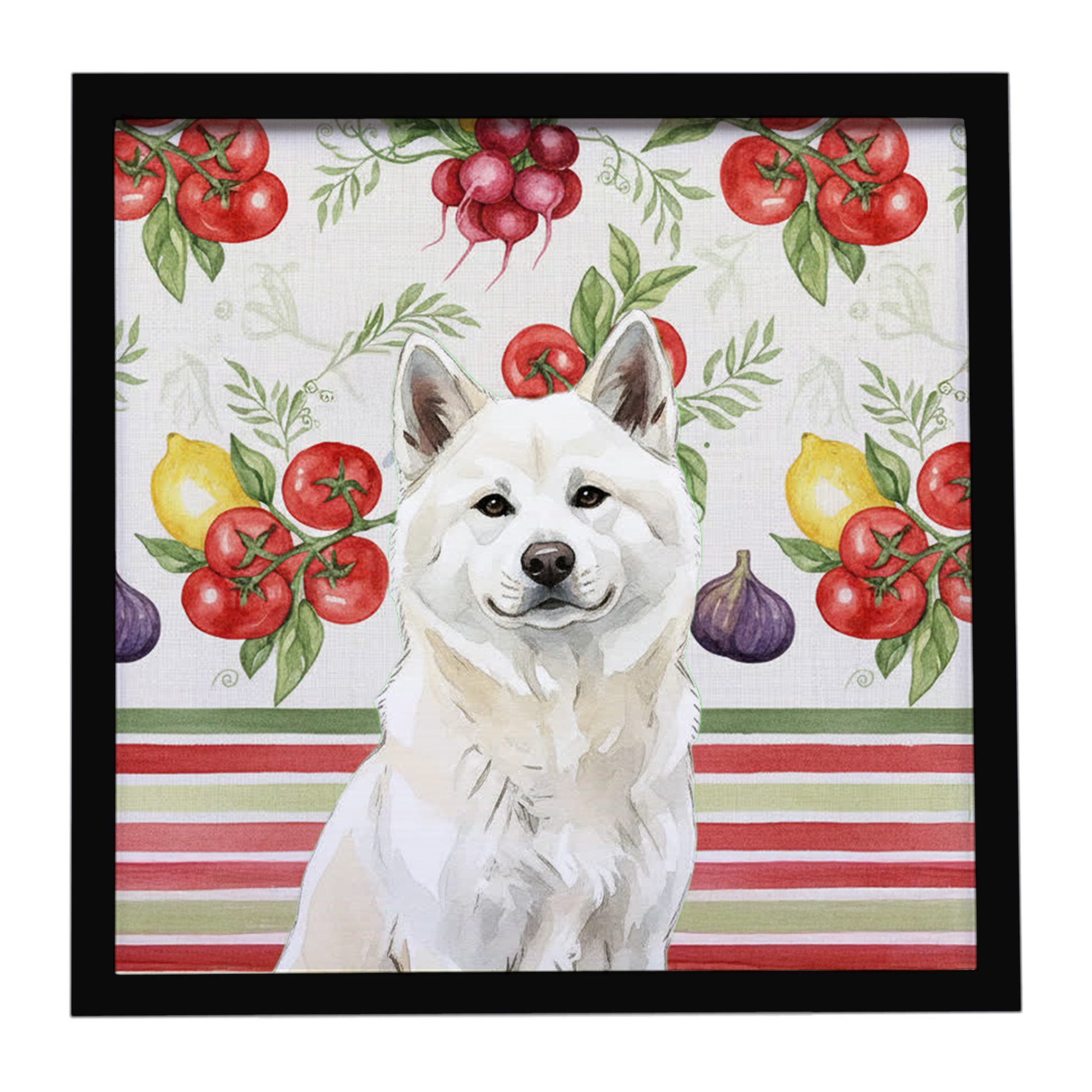 Buy this White Akita Vegetables Framed Metal Print