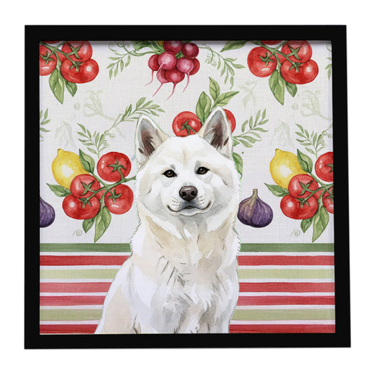 Buy this White Akita Vegetables Framed Metal Print