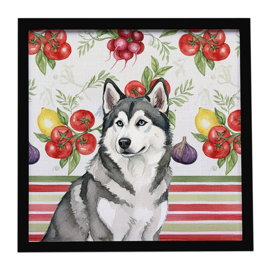 Buy this Gray and White Alaskan Malamute Vegetables Framed Metal Print