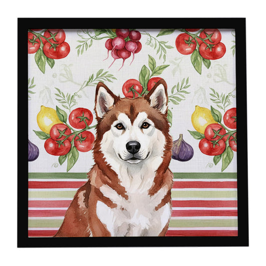 Buy this Red and White Alaskan Malamute Vegetables Framed Metal Print