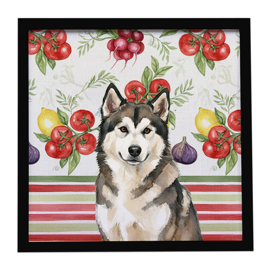 Buy this Sable and White Alaskan Malamute Vegetables Framed Metal Print