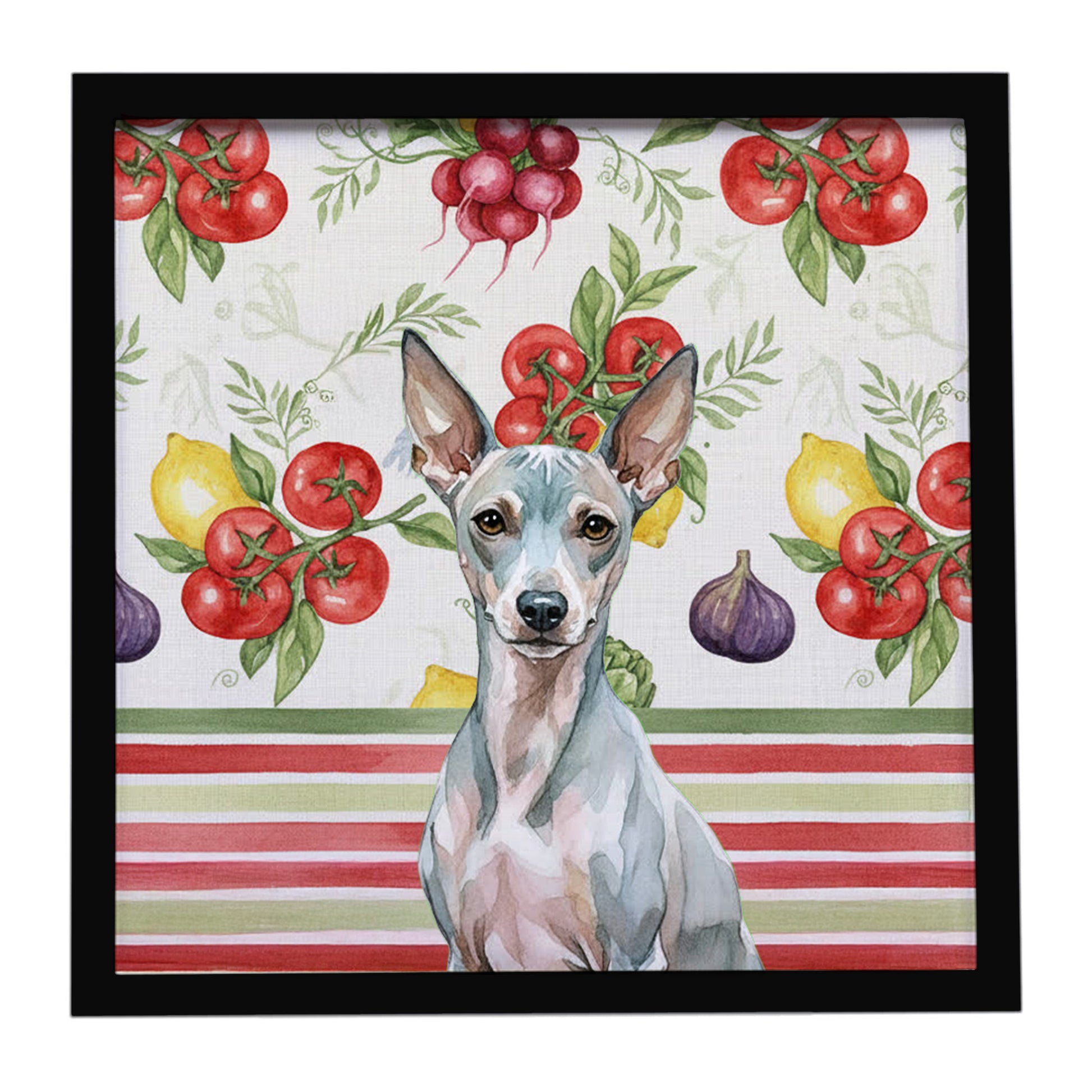 Buy this American Hairless Terrier Vegetables Framed Metal Print