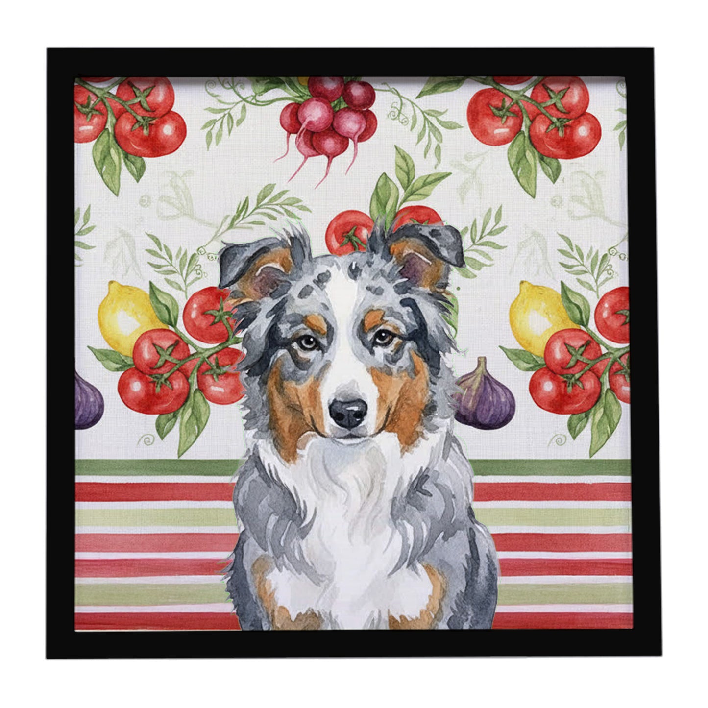 Buy this Blue Merle American Shepherd Vegetables Framed Metal Print