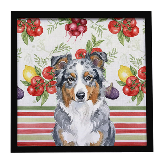 Buy this Blue Merle American Shepherd Vegetables Framed Metal Print