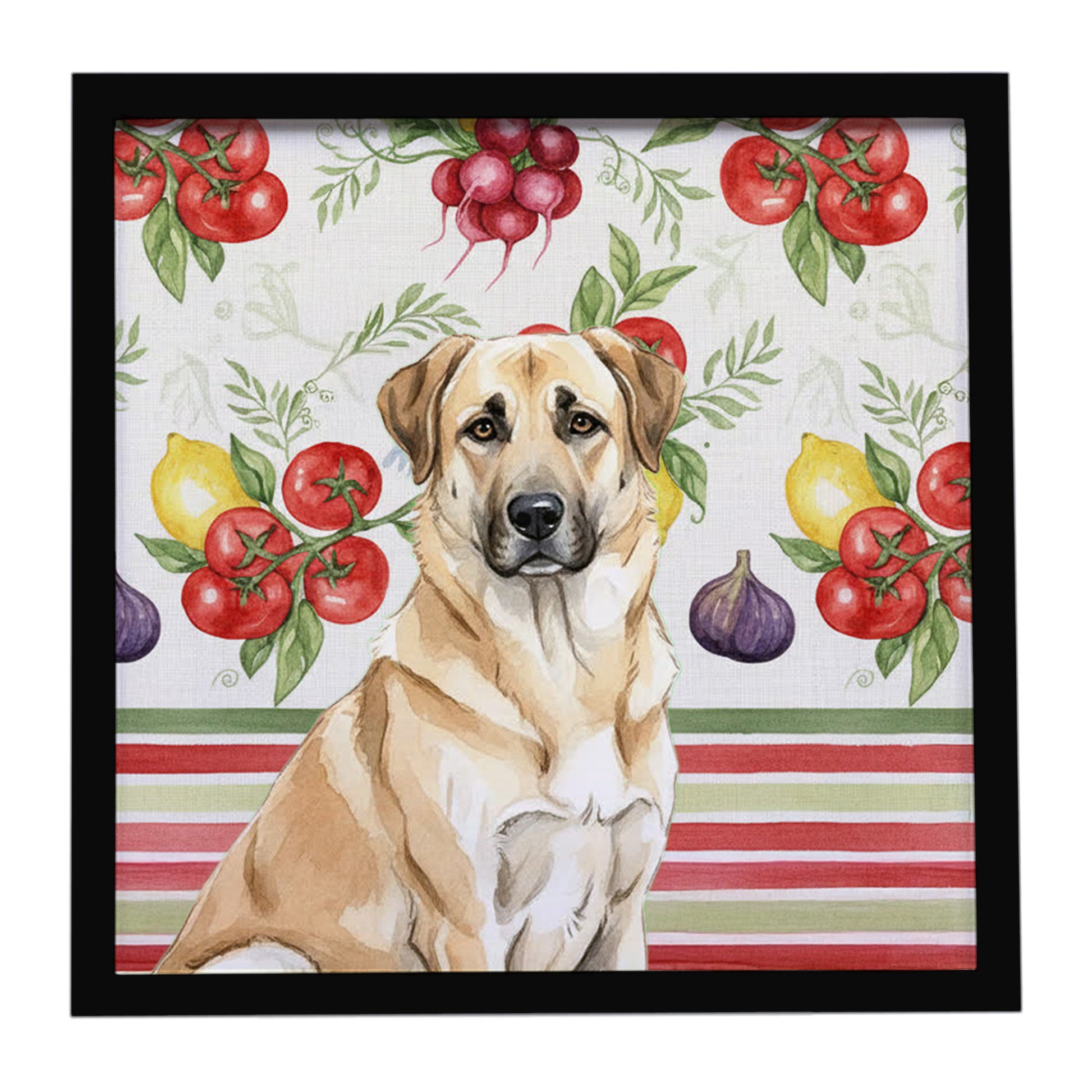 Buy this Anatolian Shepherd Dog Vegetables Framed Metal Print