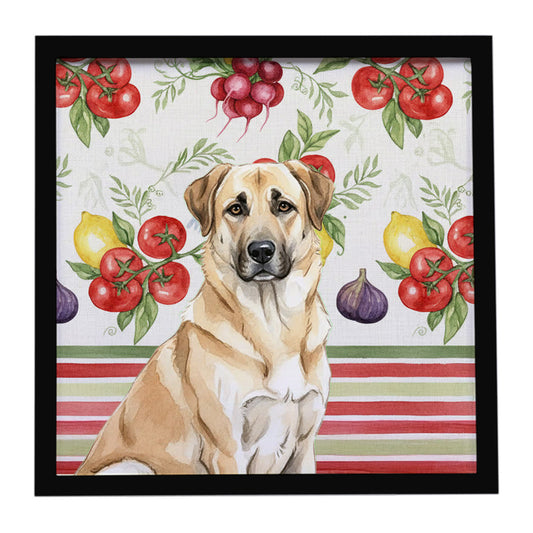 Buy this Anatolian Shepherd Dog Vegetables Framed Metal Print