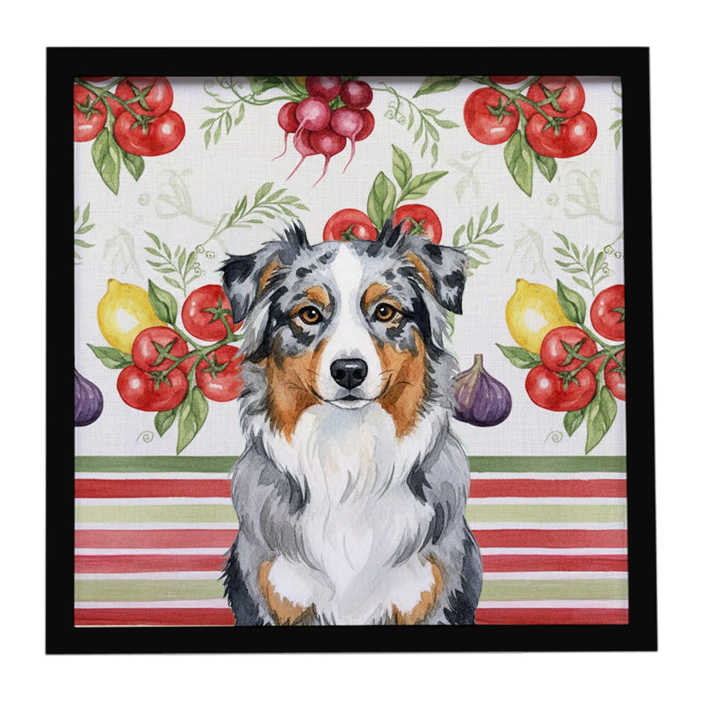 Buy this Blue Merle Australian Shepherd Vegetables Framed Metal Print