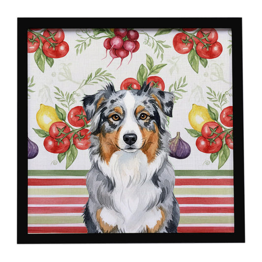 Buy this Blue Merle Australian Shepherd Vegetables Framed Metal Print