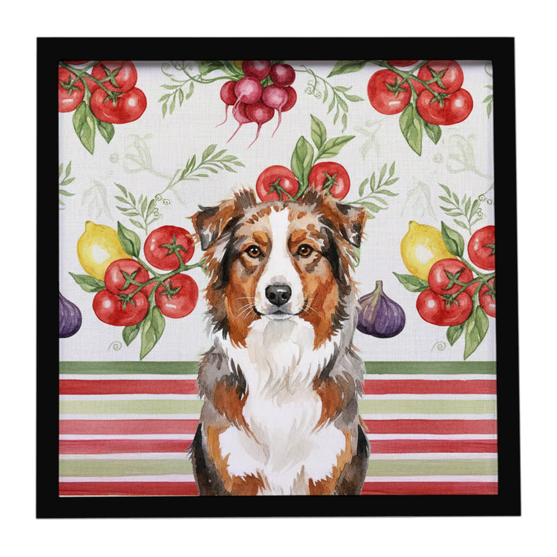 Buy this Red Merle Australian Shepherd Vegetables Framed Metal Print