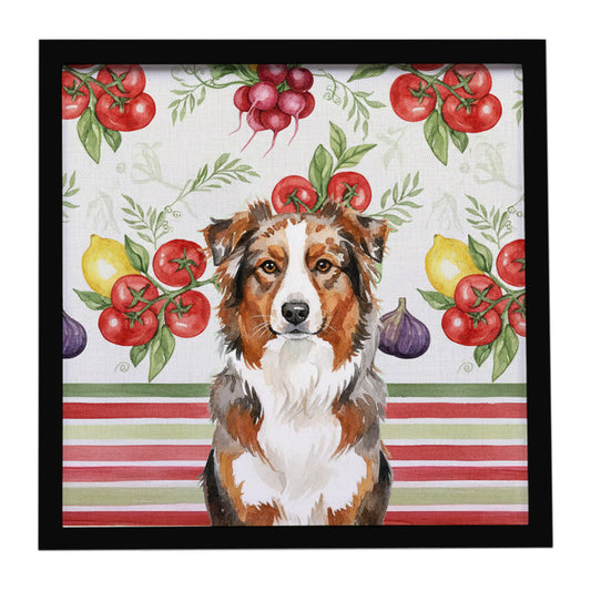Buy this Red Merle Australian Shepherd Vegetables Framed Metal Print
