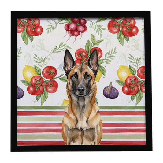 Buy this Belgian Malinois Vegetables Framed Metal Print