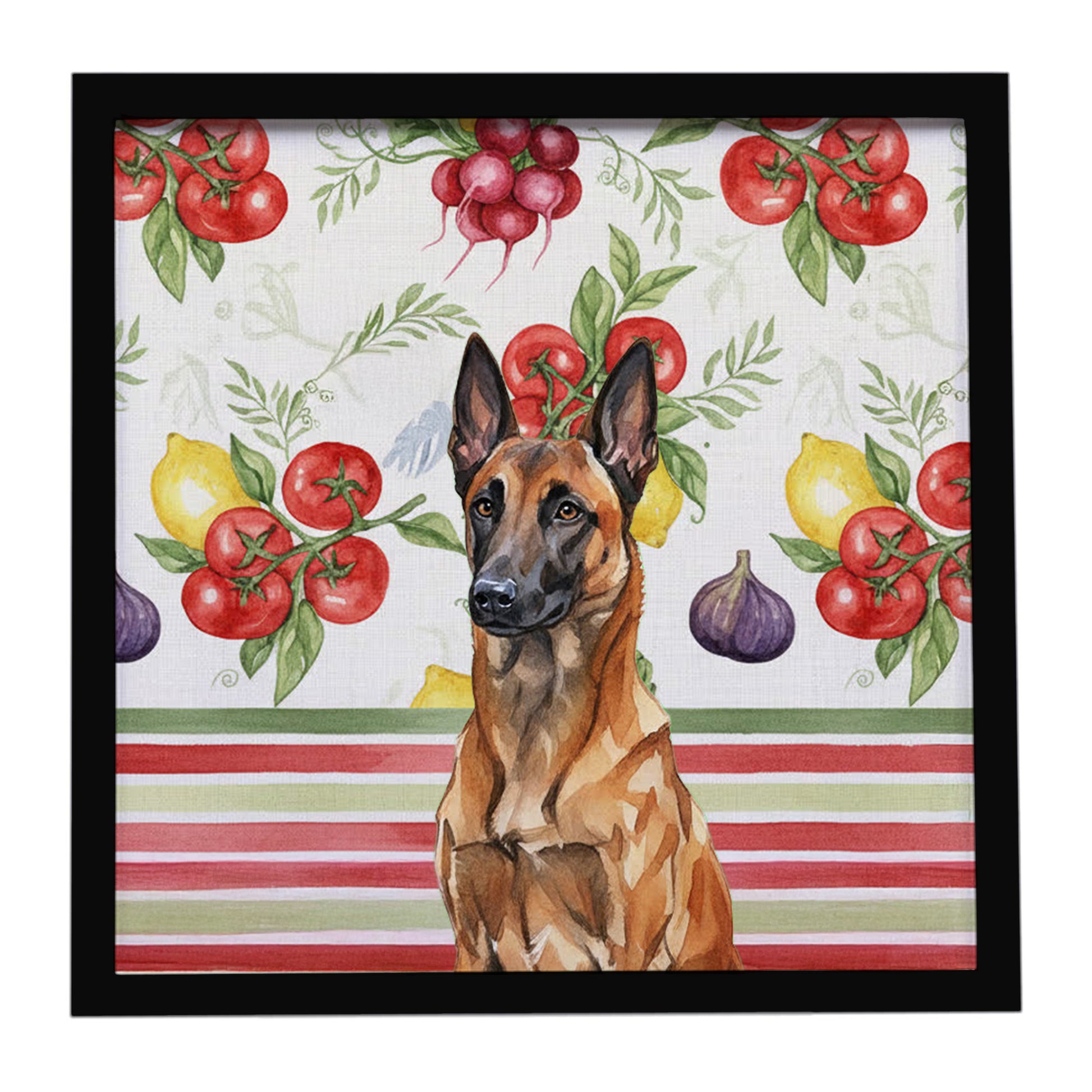 Buy this Mahogany Belgian Malinois Vegetables Framed Metal Print