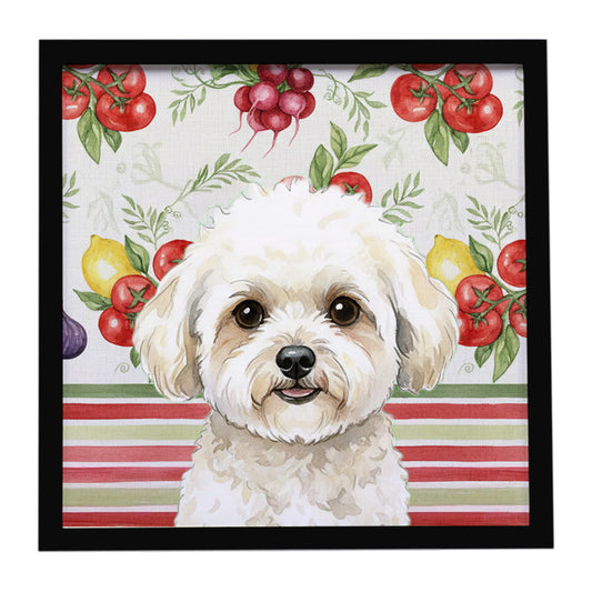 Buy this White and Cream Bichon Frise Vegetables Framed Metal Print