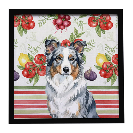 Buy this Blue Merle Border Collie Vegetables Framed Metal Print