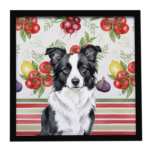 Buy this Border Collie Vegetables Framed Metal Print