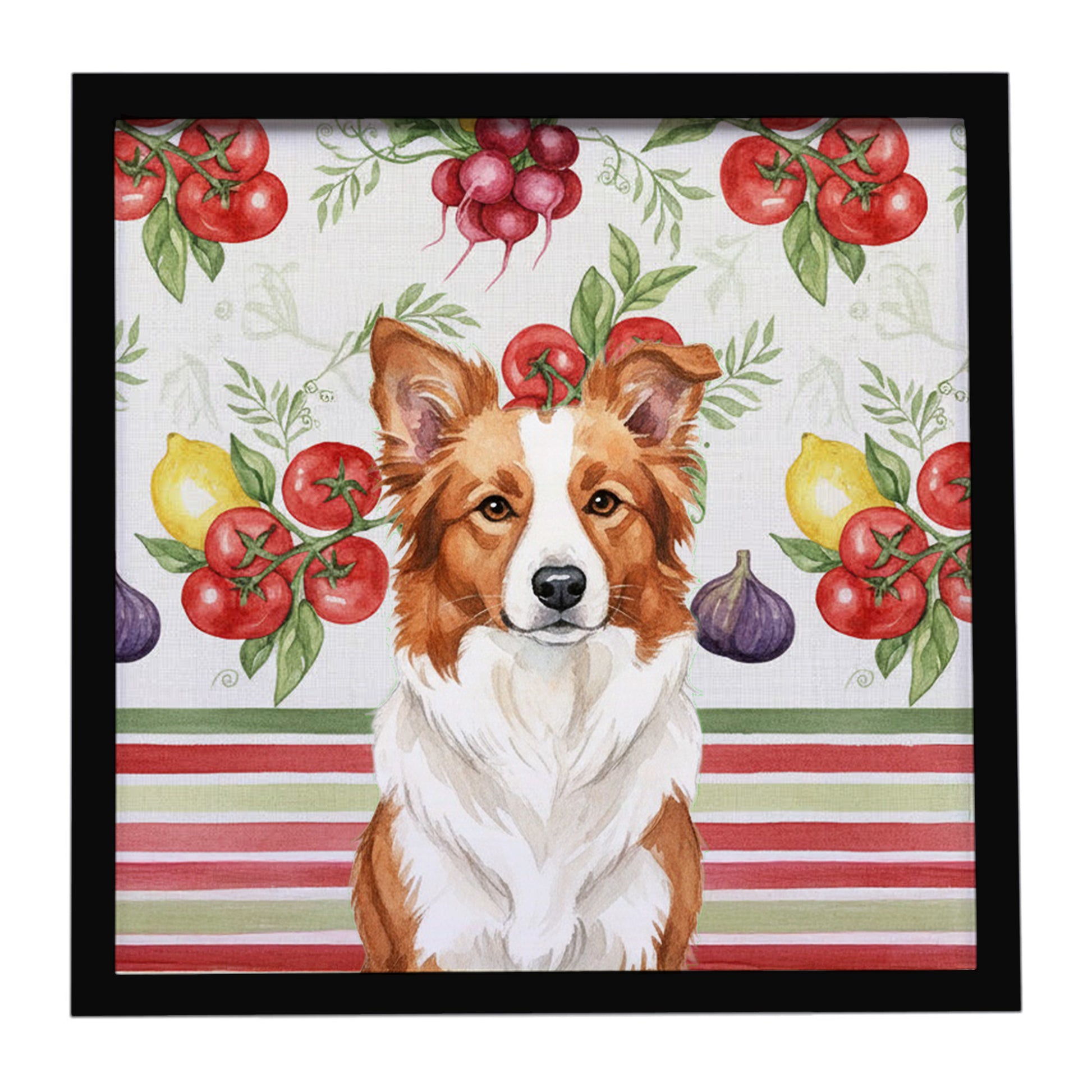 Buy this Red and White Border Collie Vegetables Framed Metal Print