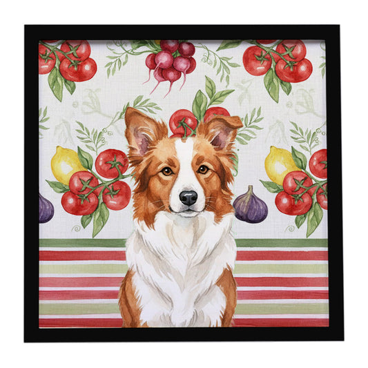 Buy this Red and White Border Collie Vegetables Framed Metal Print