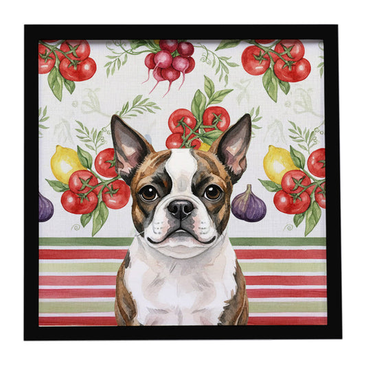 Buy this Brindle Boston Terrier Vegetables Framed Metal Print