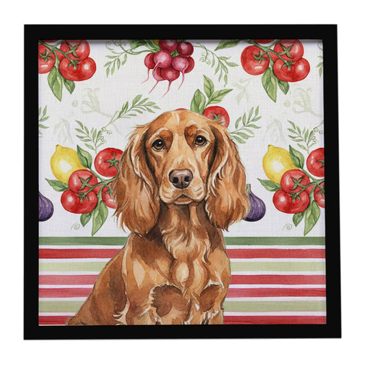 Buy this Boykin Spaniel Vegetables Framed Metal Print