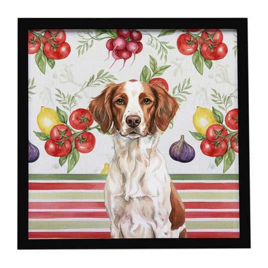 Buy this Liver and White Brittany Vegetables Framed Metal Print