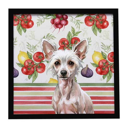 Buy this Hairless Chinese Crested Vegetables Framed Metal Print