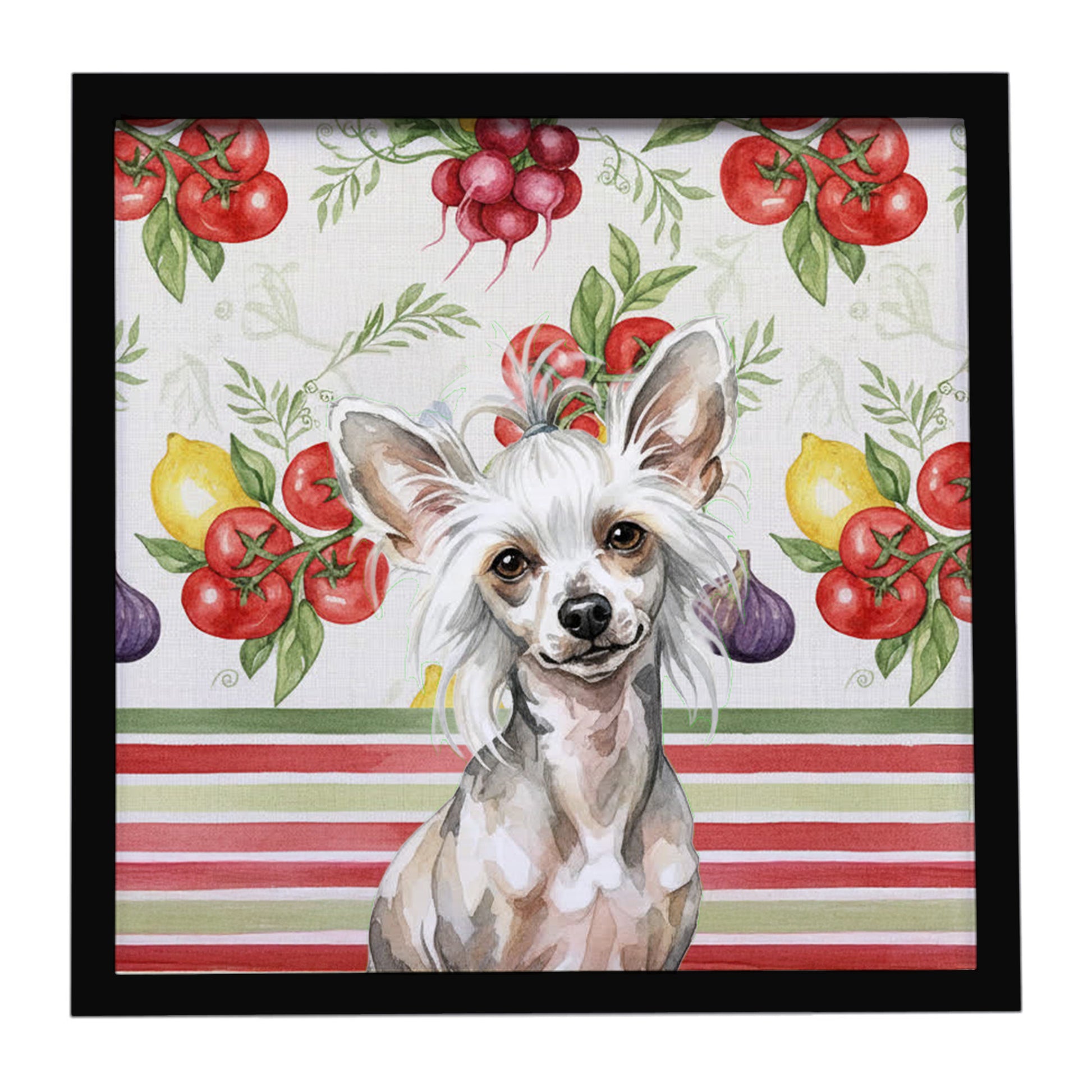 Buy this Hairless Mottled Pattern Chinese Crested Vegetables Framed Metal Print