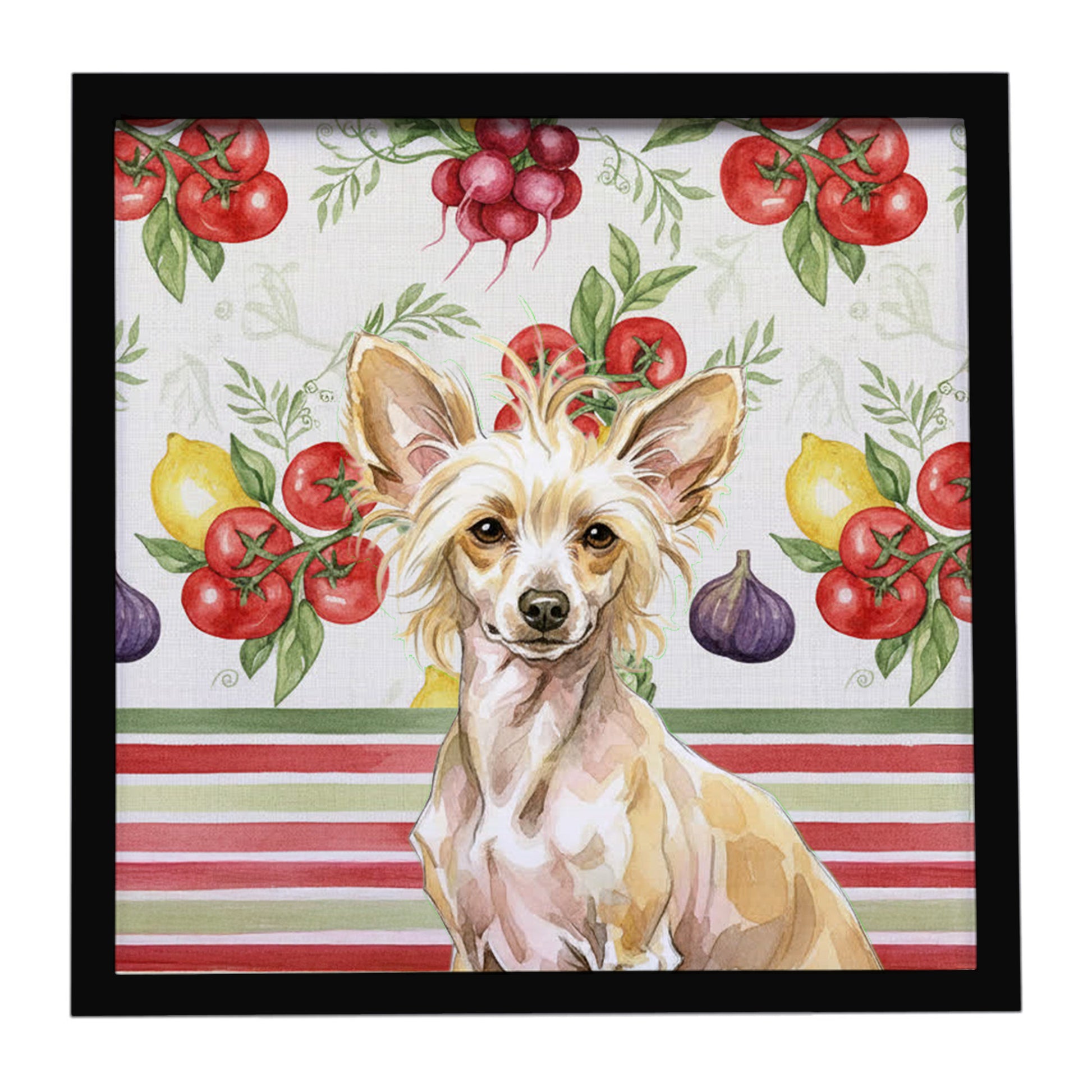 Buy this Hairless Palomino Chinese Crested Vegetables Framed Metal Print