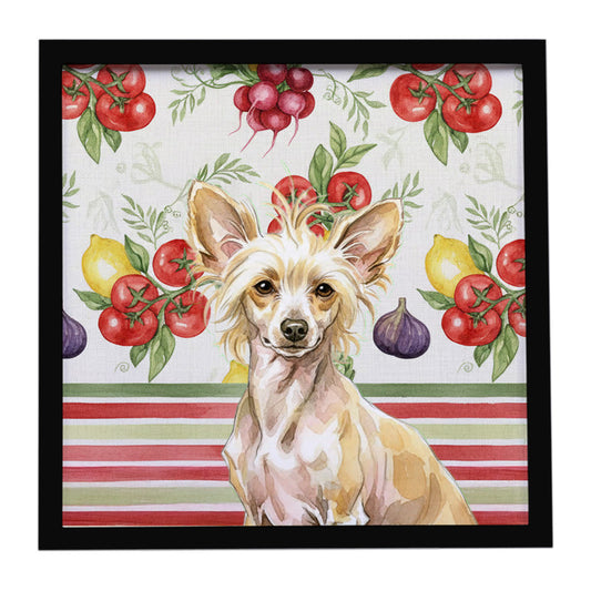 Buy this Hairless Palomino Chinese Crested Vegetables Framed Metal Print