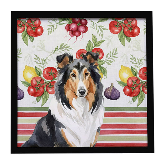 Buy this Tricolor Collie Vegetables Framed Metal Print