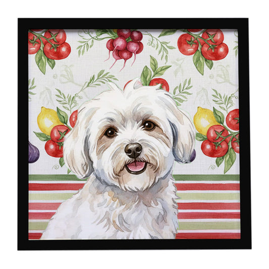 Buy this Coton de Tulear Vegetables Framed Metal Print