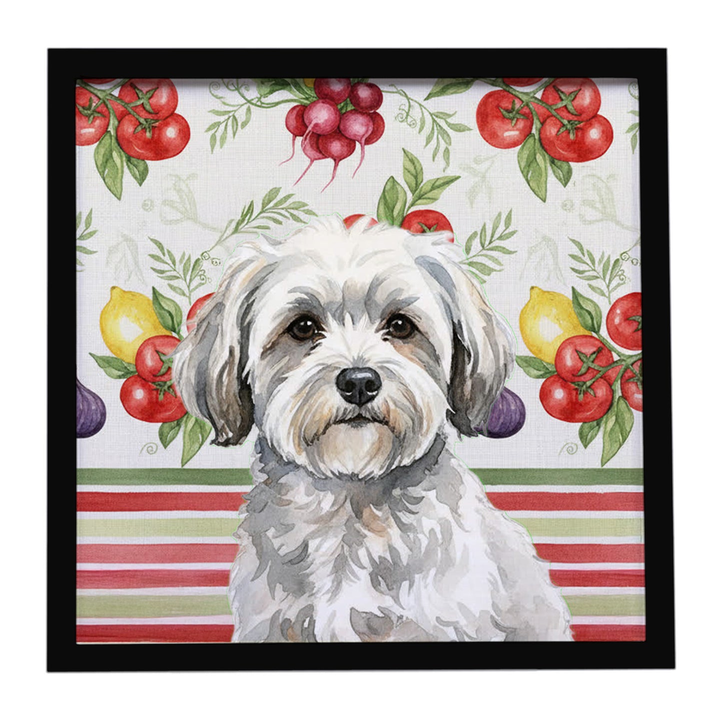 Buy this White with Gray Coton de Tulear Vegetables Framed Metal Print