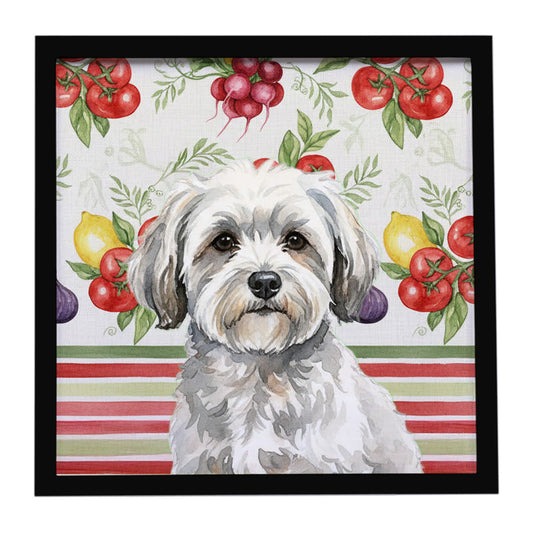 Buy this White with Gray Coton de Tulear Vegetables Framed Metal Print