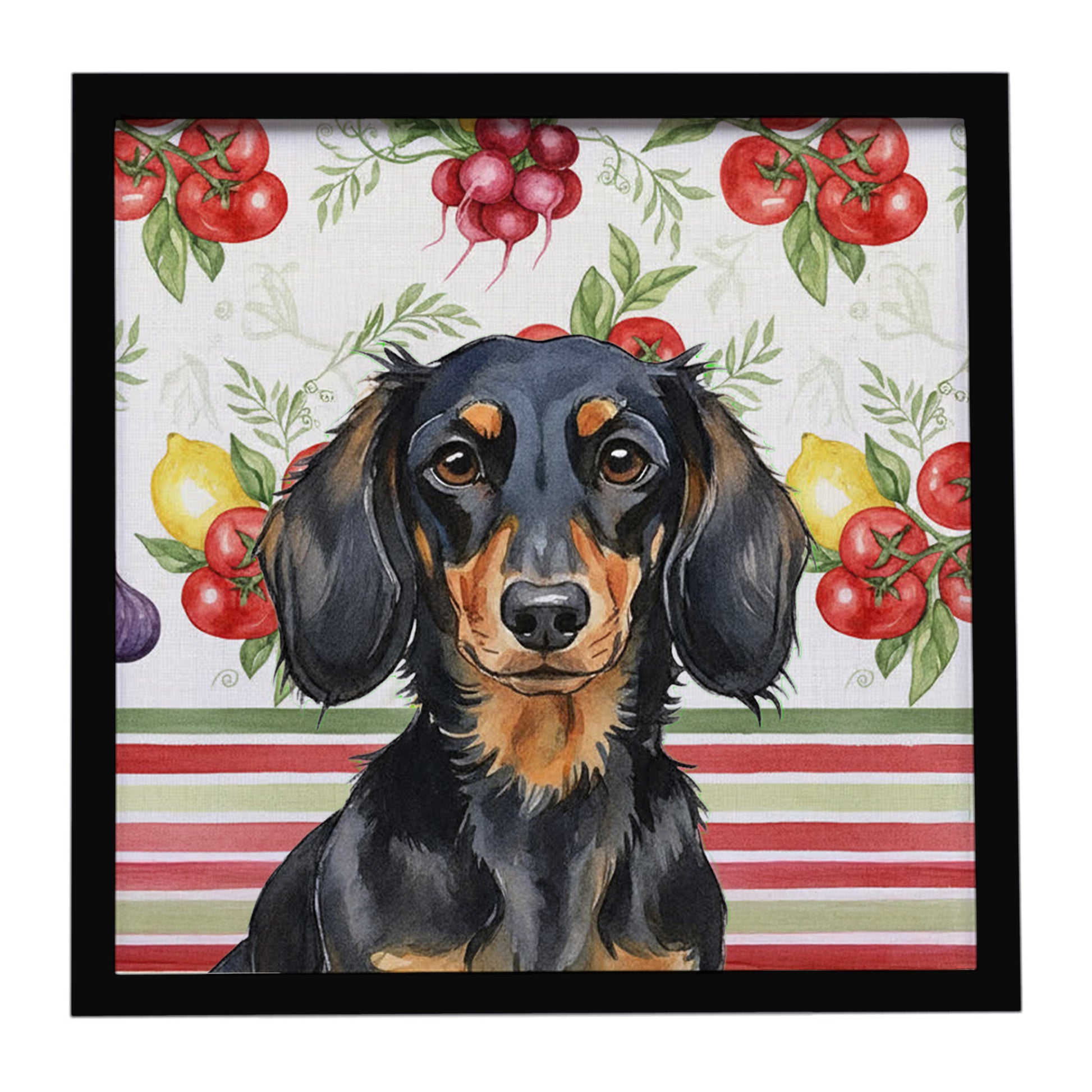 Buy this Longhaired Black and Tan Dachshund Vegetables Framed Metal Print