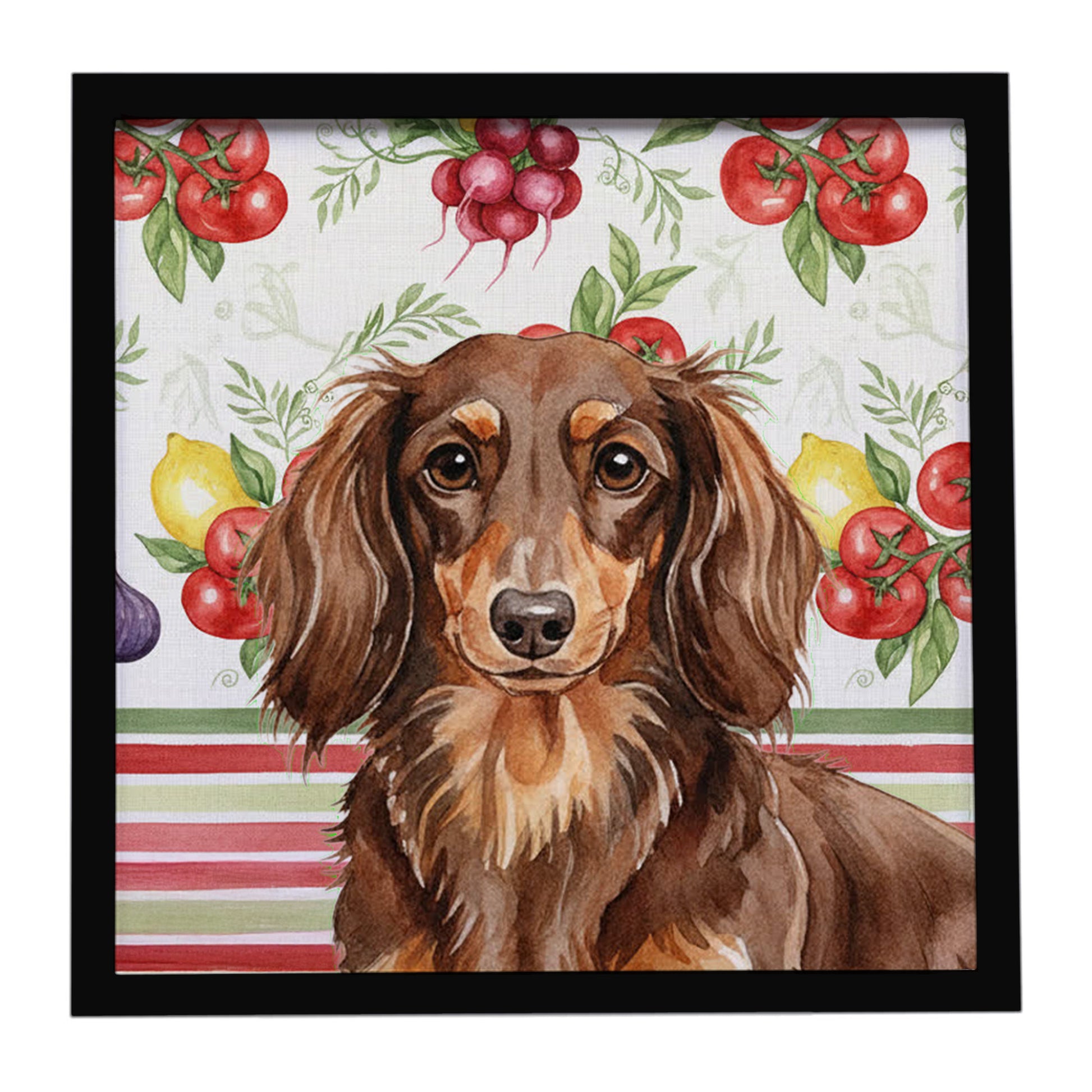 Buy this Longhaired Chocolate and Tan Dachshund Vegetables Framed Metal Print
