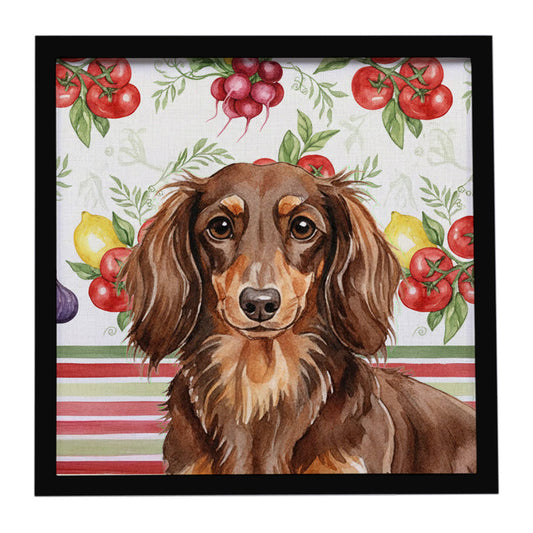 Buy this Longhaired Chocolate and Tan Dachshund Vegetables Framed Metal Print