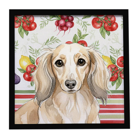 Buy this Longhaired Cream Dachshund Vegetables Framed Metal Print