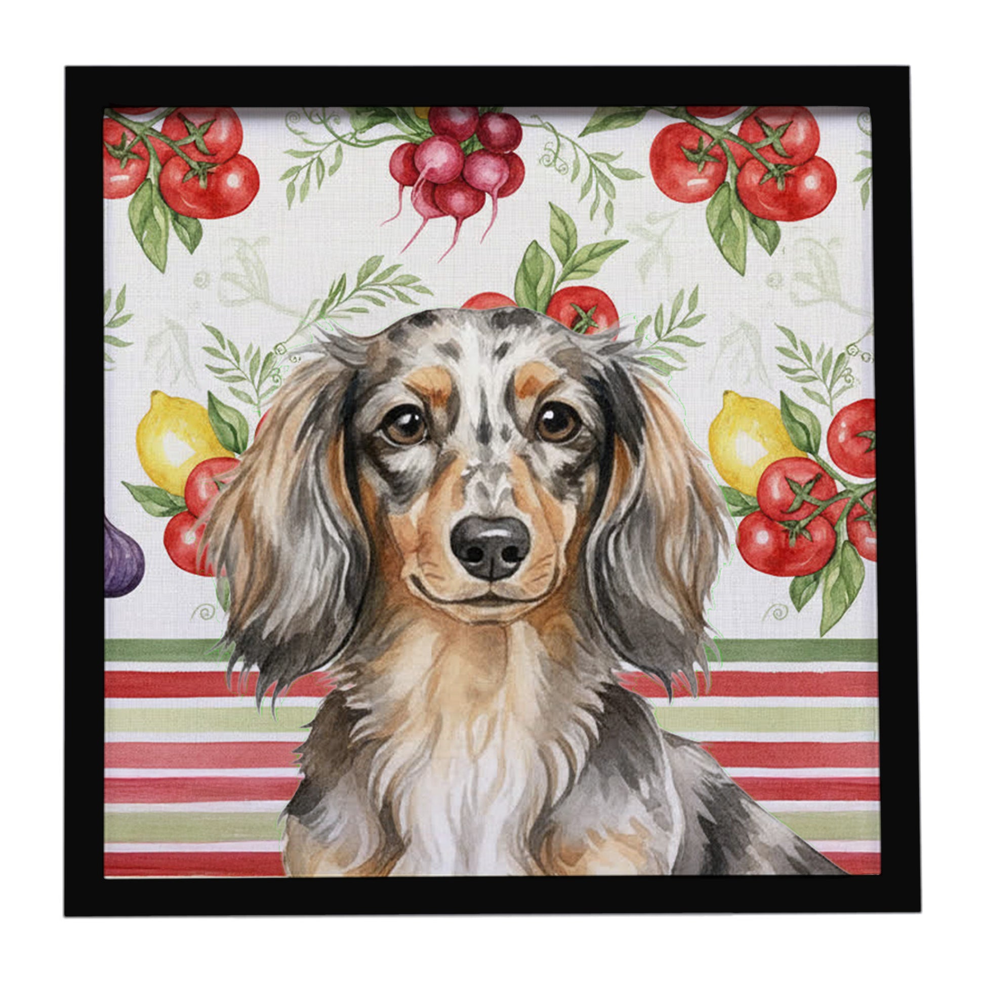 Buy this Longhaired Dapple Dachshund Vegetables Framed Metal Print