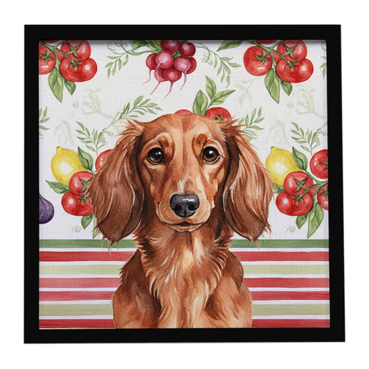 Buy this Longhaired Red Dachshund Vegetables Framed Metal Print